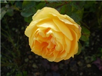 0724344a-Picture 792.jpg